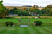 WOOLSTONE MILL HOUSE, OXFORDSHIRE: TOPIARY SHEEP BESIDE BRIDGE OVER STREAM IN THE GARDEN WITH REAL SHEEP IN THE MEADOW BEYOND