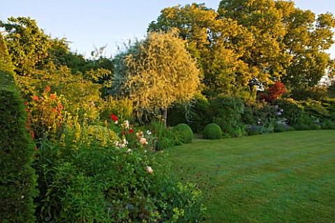 WOOLSTONE_MILL_HOUSE_OXFORDSHIRE_PERENNIAL_BORDER_BESIDE_LAWN_WITH_TREES_AND_BOX_BALLS_GARDEN_JULY_S