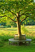 WOOLSTONE MILL HOUSE, OXFORDSHIRE: TREE SEAT IN GARDEN. A PLACE TO SIT. RELAX, CALM, SERENE
