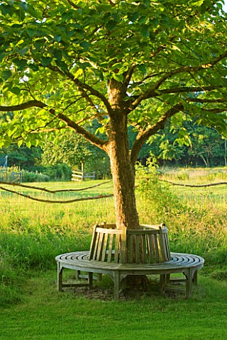 WOOLSTONE_MILL_HOUSE_OXFORDSHIRE_TREE_SEAT_IN_GARDEN_A_PLACE_TO_SIT_RELAX_CALM_SERENE