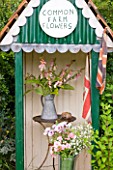 COMMON FARM FLOWERS. SOMERSET, SUMMER - GREEN SHED WITH TABLE AND METAL BUCKETS WITH DIGITALIS SUTTONS APRICOT AND ENGLISH FLAG - FLOWER ARRANGING, ARRANGEMENT