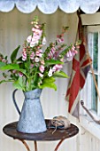 COMMON FARM FLOWERS. SOMERSET, SUMMER - SHED WITH TABLE AND METAL BUCKETS WITH DIGITALIS SUTTONS APRICOT AND ENGLISH FLAG - FLOWER ARRANGING, ARRANGEMENT