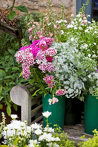 COMMON_FARM_FLOWERS_SOMERSET_SUMMER_BUCKETS_AND_CONTAINERS_OF_FRESHLY_CUT_FLOWERS_READY_FOR_ARRANGIN