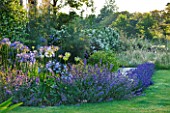 LE HAUT, GUERNSEY: VIEW ACROSS LAWN TO SIDE OF HOUSE WITH LAVENDER, NEPETA AND AGAPANTHUS - BLUE/PURPLE BORDER