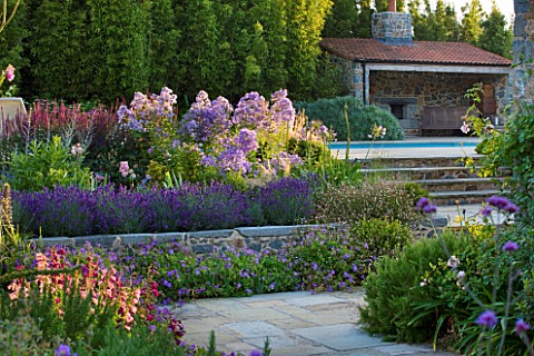 LE_HAUT_GUERNSEY_VIEW_ACROSS_PATIO_TO_SWIMMING_POOL_WITH_RAISED_BED_WITH_LAVENDER_AND_CAMPANULA