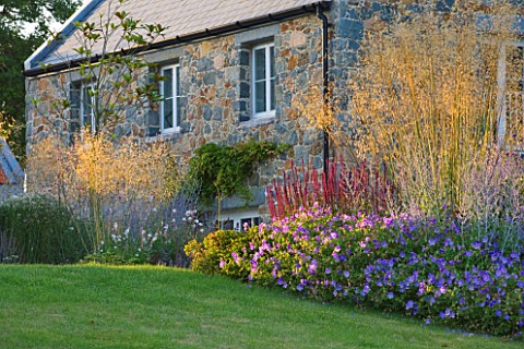 LE_HAUT_GUERNSEY_VIEW_ACROSS_LAWN_TO_THE_HOUSE_WITH_STIPA_GIGANTEA_AND_GERANIUMS_IN_PURPLE_BORDER