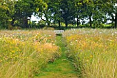 LE HAUT, GUERNSEY: PATH THROUGH WILDFLOWER MEADOW TO WOODEN BENCH