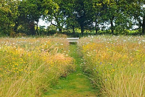 LE_HAUT_GUERNSEY_PATH_THROUGH_WILDFLOWER_MEADOW_TO_WOODEN_BENCH