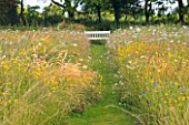 LE HAUT, GUERNSEY: PATH THROUGH WILDFLOWER MEADOW TO WOODEN BENCH