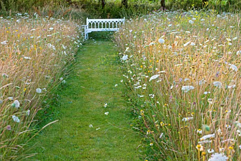 LE_HAUT_GUERNSEY_PATH_THROUGH_PERENNIAL_WILDFLOWER_MEADOW_TO_WOODEN_BENCH