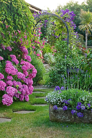 MILLE_FLEURS__GUERNSEY_STEPPING_STONE_PATH_THROUGH_ARCH_WITH_HYDRANGEAS_AND_CLEMATIS