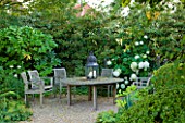WOOLSTONE MILL HOUSE, OXFORDSHIRE: GRAVEL COURTYARD WITH SEATING AREA AND HYDRANGEA ANNABELLE AND FATSIA JAPONICA. WHITE-THEMED PLANTS. CALM, RELAXING. A PLACE TO SIT.