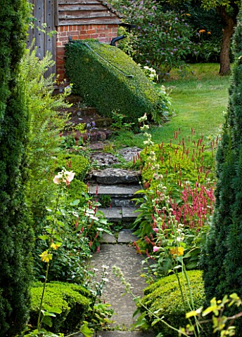 WOOLSTONE_MILL_HOUSE_OXFORDSHIRE_DETAIL_OF_STEPS_BESIDE_HOUSE_WITH_PERENNIALS