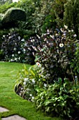 CHENIES MANOR, BUCKINGHAMSHIRE: THE WHITE GARDEN WITH LAWN AND WHITE DAHLIAS - COUNTRY GARDEN, CLASSIC, ROMANTIC, BORDER, FLOWERS