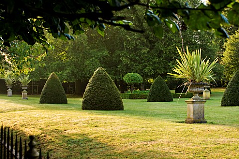 CHENIES_MANOR_BUCKINGHAMSHIRE_YEW_CONES_ON_THE_LAWN__CLIPPED_TOPIARY_COUNTRY_GARDEN_CLASSIC_ROMANTIC