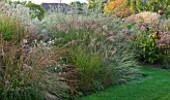MARCHANTS HARDY PLANTS, EAST SUSSEX: BORDER WITH GRASSES AND LAWN. MOLINIA FONTANE, STIPA LESSINGIANA, MISCANTHUS SILBERSPINNE. COUNTRY GARDEN, ENGLISH