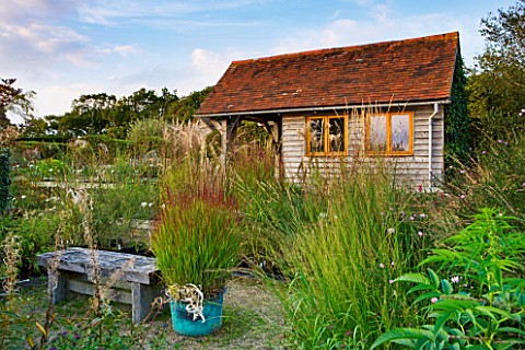 MARCHANTS_HARDY_PLANTS_EAST_SUSSEX_GRAVEL_GARDEN_AND_NURSERY_SHED_WITH_COPPER_CONTAINER_PLANTED_WITH