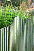 MARCHANTS HARDY PLANTS, EAST SUSSEX: WAVY CHESTNUT WOODEN FENCE. FENCING, WOOD, BOUNDARY, ENGLISH, COUNTRY, GARDEN, AUTUMN