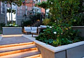 PRIVATE GARDEN LONDON: DESIGNER STEPHEN WOODHAMS - TOWN GARDEN - BACK GARDEN STEPS WITH LIGHTING UP TO RAISED BED PLANTED WITH PLATINUS X ACERIFOLIA. FORMAL, CITY GARDEN, TRELLIS