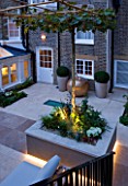 PRIVATE GARDEN LONDON: DESIGNER STEPHEN WOODHAMS - TOWN GARDEN - BACK GARDEN - CONTAINERS, RAISED BED WITH PLATANUS X ACERIFOLIA. FORMAL, CITY GARDEN, LIGHTING, LIT, CONTEMPORARY