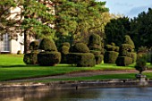 THORP PERROW ARBORETUM, YORKSHIRE: VIEW ACROSS LAKE IN AUTUMN TO LAWN AND CLIPPED TOPIARY YEW - FORMAL, CLASSIC COUNTRY GARDEN, FALL