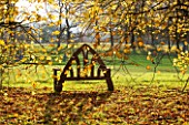 HOLKER HALL  CUMBRIA: WOODEN SEAT LOOKS OUT TO THE STONE CIRCLE  AUTUMN