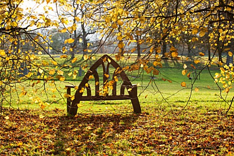 HOLKER_HALL__CUMBRIA_WOODEN_SEAT_LOOKS_OUT_TO_THE_STONE_CIRCLE__AUTUMN