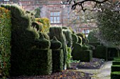 HOLKER HALL  CUMBRIA: TOPIARY HEDGES IN THE FORMAL GARDEN