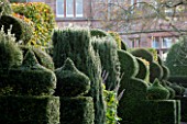 HOLKER HALL  CUMBRIA: TOPIARY HEDGES IN THE FORMAL GARDEN