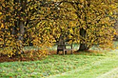 HOLKER HALL  CUMBRIA: WOODEN SEAT WITH AUTUMN TREES BESIDE LAWN