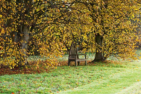 HOLKER_HALL__CUMBRIA_WOODEN_SEAT_WITH_AUTUMN_TREES_BESIDE_LAWN