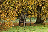 HOLKER HALL  CUMBRIA: WOODEN SEAT WITH AUTUMN TREES BESIDE LAWN
