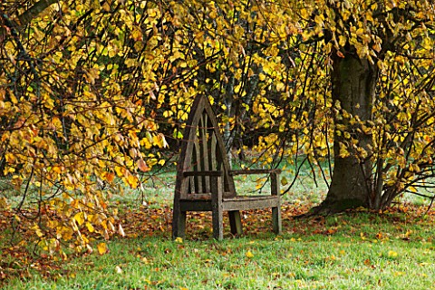 HOLKER_HALL__CUMBRIA_WOODEN_SEAT_WITH_AUTUMN_TREES_BESIDE_LAWN