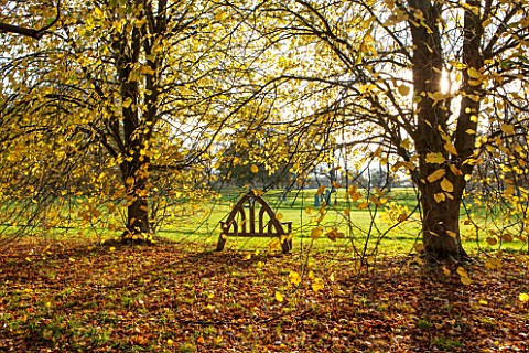 HOLKER_HALL__CUMBRIA_WOODEN_SEAT_WITH_AUTUMN_COLOUR