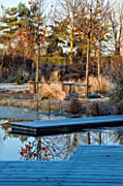 ELLICAR GARDENS, NOTTINGHAMSHIRE: VIEW ACROSS NATURAL SWIMMING POOL WITH DECKING AND CURVED WOODEN BENCH/SEAT. WINTER, FROST