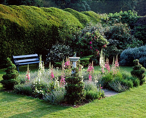 WOODEN_SEAT_AND_SUNDIAL_SURROUNDED_BY_FOXGLOVES_IN_THE_POOL_GARDEN_REDENHAM_PARK__HAMPSHIRE