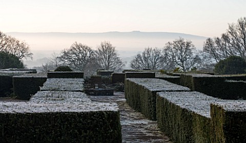 SEDGWICK_PARK_WEST_SUSSEX_WINTER_BARE_TREES_AND_FROST_ON_YEW_HEDGING_WITH_COUNTRYSIDE_VIEWS_JANUARY_