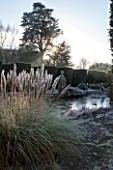 SEDGWICK PARK, WEST SUSSEX. COLUMNS OF YEW BESIDE THE LONG CANAL ALSO KNOWN AS THE WHITE SEA WITH PAMPAS GRASS. WINTER, GARDEN, FROST, JANUARY, WATER