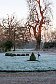 SEDGWICK PARK, WEST SUSSEX. PATH AND CIRCULAR FROSTED LAWN WITH BOX BALLS AND RUSTED METAL BIRD SCULPTURE. WINTER,  JANUARY, TOPIARY