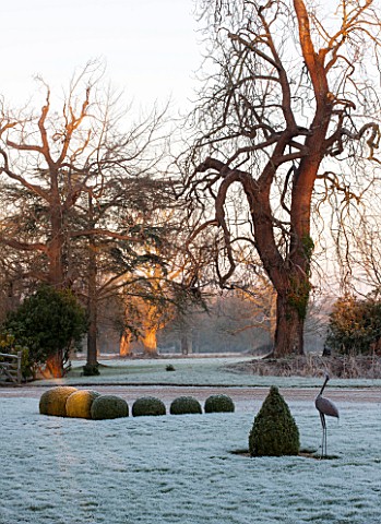 SEDGWICK_PARK_WEST_SUSSEX_PATH_AND_CIRCULAR_FROSTED_LAWN_WITH_BOX_BALLS_AND_RUSTED_METAL_BIRD_SCULPT