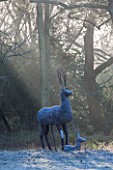 SEDGWICK PARK, WEST SUSSEX. WOODLAND WITH METAL PATCHWORK STAG AND FAWN. FROST, WINTER, JANUARY, GARDEN, SCULPTURE, STATUE.