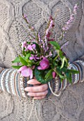 SIR HAROLD HILLIER GARDENS, HAMPSHIRE: THE WINTER GARDEN - STYLING BY JACKY HOBBS - WOMAN HOLDING SCENTED, FRAGRANT PLANTS WINTER BOUQUET - HELLEBORUS HILLIER HYBRID, HAMAMELIS AMETHYST, ERICA X DARLEYENSIS GHOST HILLS, CYCLAMEN COUM AND DAPHNE BHOLUA JACQUELINE POSTILL