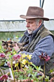 HAZLES CROSS FARM: MIKE BYFORD COLLECTION OF HELLEBORES - MIKE BYFORD WITH CAT