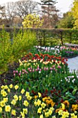 RHS GARDEN , WISLEY, SURREY: TUIPS, NARCISSI AND WALLFLOWERS - SPRING, BLOSSOM