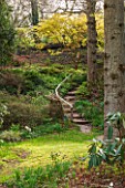 SPINNERS GARDEN AND NURSERY, HAMPSHIRE: THE WOODLAND GARDEN IN SPRING