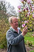 SPINNERS GARDEN AND NURSERY, HAMPSHIRE: ANDREW ROBERTS - OWNER OF SPINNERS NURSERY LOOKING AT MAGNOLIA PINKIE