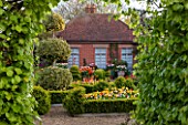 EAST RUSTON OLD VICARAGE GARDEN, NORFOLK: THE DUTCH GARDEN WITH CLIPPED BOX, TULIPS AND GOLDEN KING HOLLY - ILEX X ALTACLEREMSIS GOLDEN KING. SPRING, MAY, VISTA, FOCAL POINT