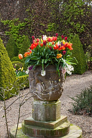 EAST_RUSTON_OLD_VICARAGE_GARDEN_NORFOLK_TERRACOTTA_CONTAINER_IN_THE_DUTCH_GARDEN_PLANTED_WITH_ORANGE