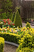 EAST RUSTON OLD VICARAGE GARDEN, NORFOLK: THE DUTCH GARDEN PLANTED WITH TULIPS IN SPRING. MAY, FLOWERS, HOT, BRIGHT, GRAVEL, PATIO, CLIPPED BOX, TRIMMED, TOPIARY