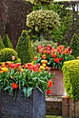 EAST RUSTON OLD VICARAGE GARDEN, NORFOLK: TERRACOTTA AND LEAD CONTAINERS IN THE DUTCH GARDEN - ORANGE TULIPS. SPRING. MAY, FLOWERS, HOT, BRIGHT, GRAVEL, TERRACE, PATIO